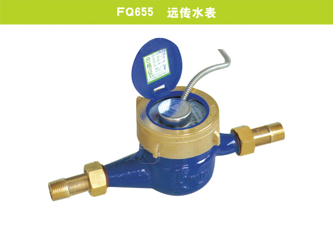 FQ655  遠(yuǎn)傳水表
