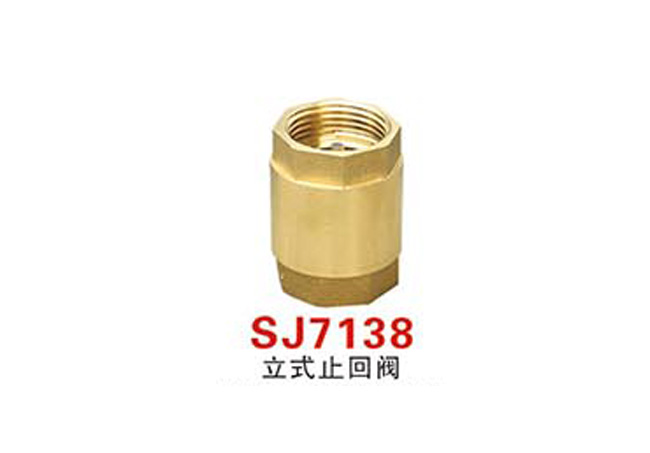SJ7138立式止回閥